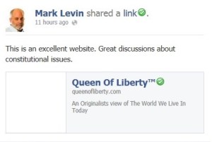 levin constitutional issues