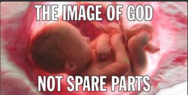 Democrats Defeat Senate Effort to De-Fund Planned Parenthood After It Sells Aborted&nbsp;Babies